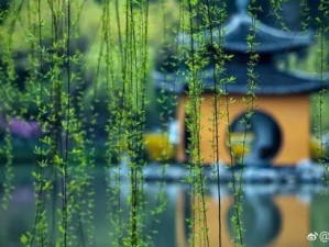 烟花三月下扬州？不，扬州的春节，比烟花更醉人！