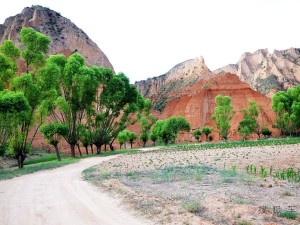 从江南水乡到黄土高坡，绍兴到陕西自助游全攻略