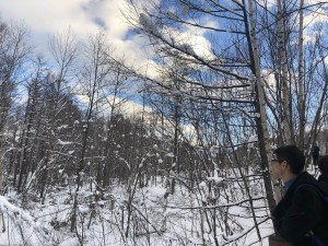 冬日四国漫记，在德法意瑞邂逅冰雪与浪漫