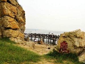 从沈阳出发，畅游山海关与北戴河，渤海之滨的浪漫与历史之旅