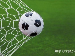 足球DS比分，数字化时代的绿茵情报站，如何重塑我们的观赛体验？