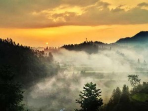 雾中山自驾，在云雾秘境中邂逅一场心灵之旅