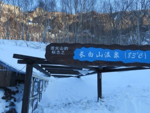 新乡冬日寻韵，冰雪与暖意的交织之旅