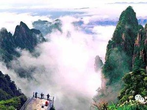 郴州莽山2天游，探秘湘南秘境，邂逅云海与森林的诗意