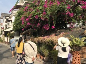 清迈春节，泰北玫瑰的年味之旅