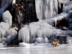 冬日云台山，邂逅冰雪童话中的仙境