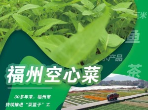 长崎，山海交织的味蕾诗篇，解锁百年融合的美食密码
