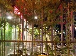 冬日暖阳里的成都慢时光，三天两夜，邂逅蓉城的温柔与烟火
