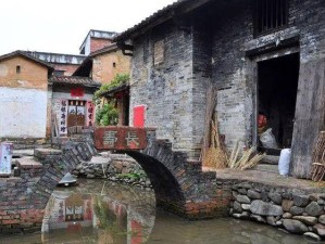 诗意岭南，古韵水乡，探秘广东古劳水乡的慢时光