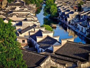 1月底2月初温州游，邂逅暖冬里的江南年味与山海慢时光