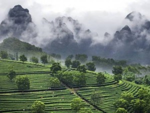 英德积庆里，山水间的茶香古韵与诗画之旅