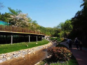 梅岭，南昌后花园的避暑胜地与千年文脉之旅
