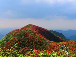 怀玉山，揽江南胜境，品千年文脉的寻幽之旅