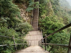 莽山旅游全攻略，费用、景点与游玩指南