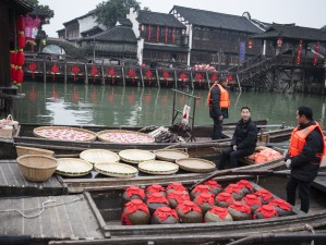 浙里过年，驾游寻味，春节自驾浙江，赴一场山水与年味的双向奔赴