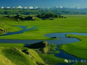 带宝宝赴伊犁，把童话揉进草原花海，让成长与自然撞个满怀
