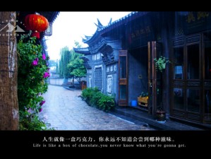 暑假云南双城记，在大理风花雪月，在版纳热带雨林邂逅清凉