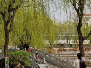 陵园路，镌刻时光的漫步长廊，春色与人文交织的旅游秘境
