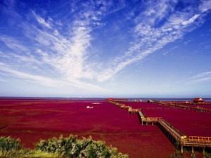 宝泉岭，北国风光里的垦荒记忆与生态画卷