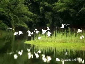 月韵贵阳，邂逅山水间的诗意与清凉
