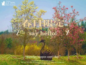 3月赴台，与春天撞个满怀——山海花事与市井烟火皆可期