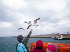 2015南澳岛春节，海风里的年味与诗画之旅