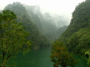 重庆金佛山2日游，云端仙境奇景全览，慢品喀斯特秘境
