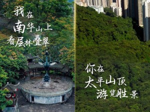 从山海之城到东方之珠，台州赴香港全攻略