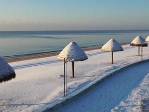 冬游威海，当雪与海共赴一场暖冬之约