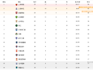 逐鹿2026-2027，中超积分榜背后的格局重塑与群雄并起