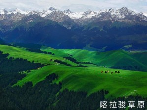 伊犁，新疆的塞外江南，一场穿越四季的诗意之旅