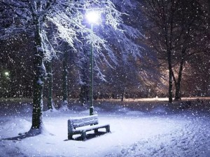 雪落达里湖，一场与冰雪的深情对话