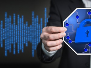电脑软件下载，安全、高效与实用指南
