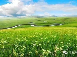 从长春出发，邂逅阿尔山，一场北国秘境的治愈之旅