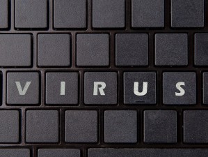 电脑尼康软件下载安装与详细教程，从获取到使用全指南