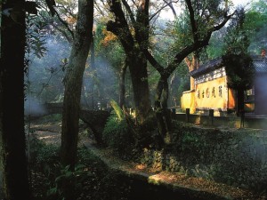 千年古刹禅意浓，山水胜境国清游——浙江天台山国清景区深度体验