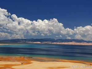 六月初赴青海湖，邂逅高原蓝与花海的诗意时光