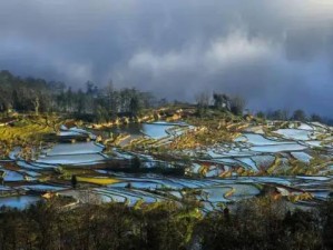 四天自驾云南，在抚仙湖的蓝、建水的红、元阳的梯田里，遇见风与自由