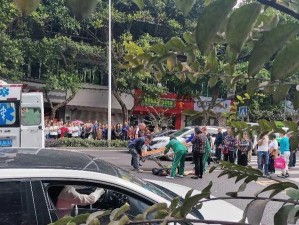 新乡周边适老游，慢享时光，舒适出行指南