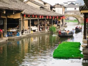 从江南水乡到千年古都，绍兴到陕西自助游全攻略