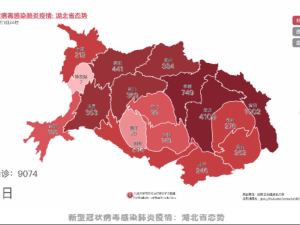 实时更新的武汉疫情地图，数字防线守护城市脉搏