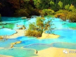 黄龙五彩池，大地调色盘上的高原奇境