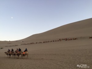 从黄土高坡到渤海之滨，山西到秦皇岛的双城记