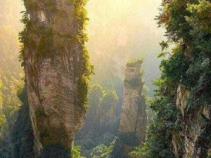 从东海之滨到奇峰仙境，台州到张家界的梦幻之旅