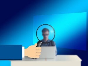 wk软件下载安装全攻略，从安全获取到轻松上手