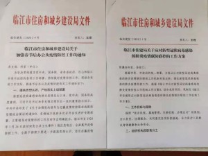 筑牢疫情防控安全线，检查工作的关键与行动