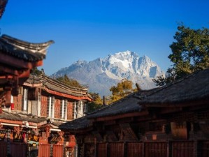 丽江的12月，雪山为幕，暖阳为伴，赴一场古城慢时光