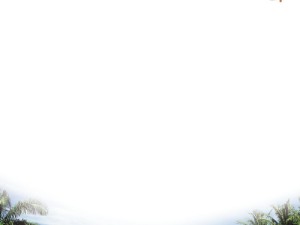 东南亚，一场在椰风海韵与古老文明中苏醒的旅程