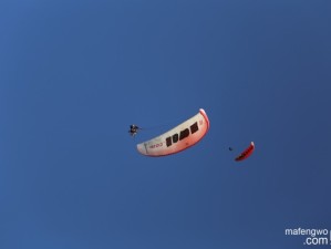 15天自由行漫记，在澳大利亚，与阳光、海浪和袋鼠撞个满怀