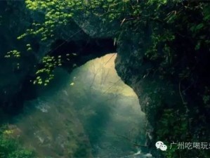 探秘湖北双瑰宝，神农架的原始野趣与武当山的仙风道骨